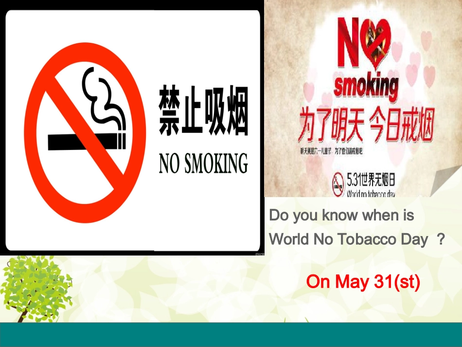 Lesson4Don'tSmoke-Please!_第2页
