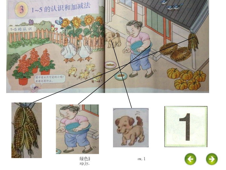 小学数学人教2011课标版一年级1-5_第3页