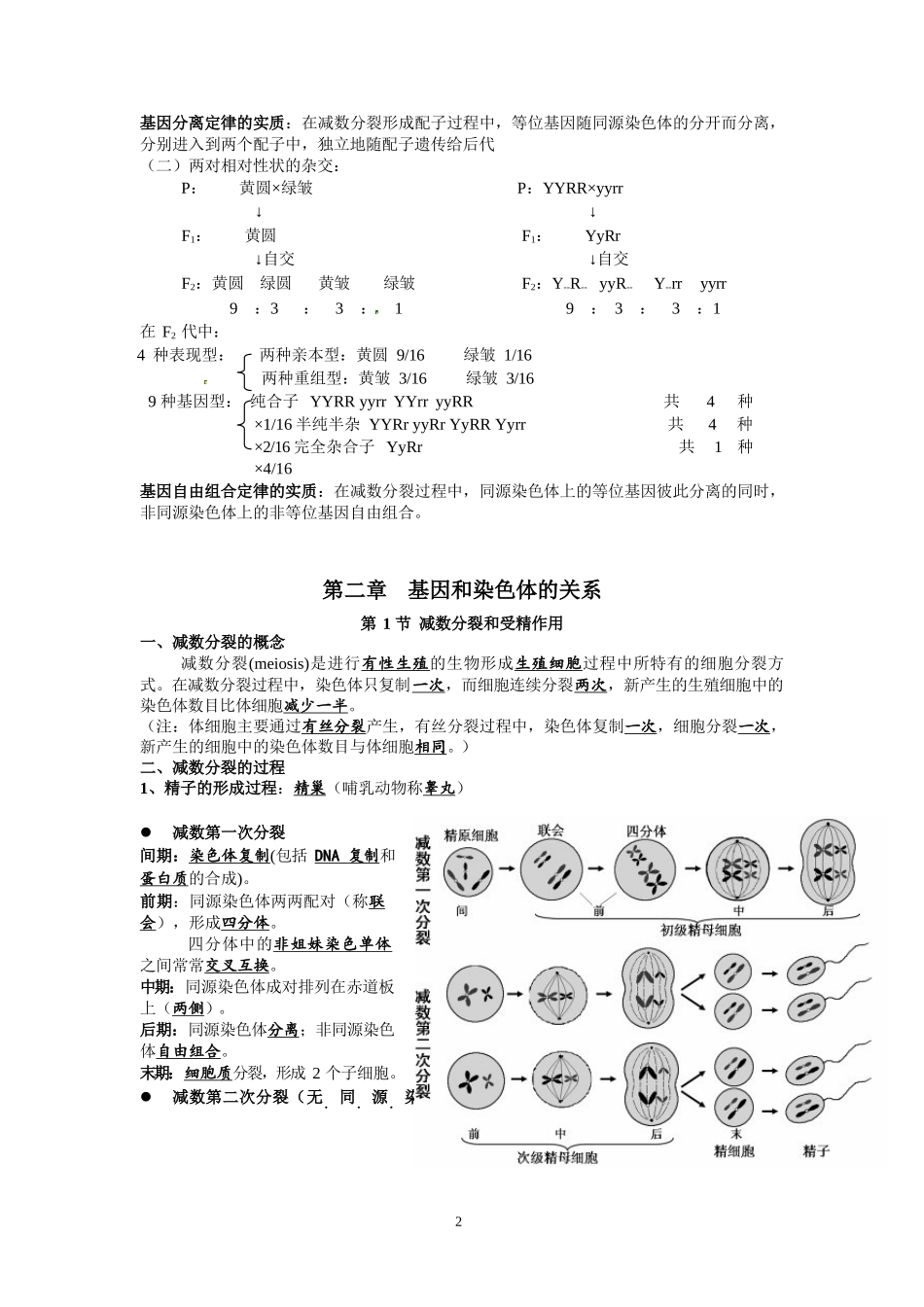 高中生物必修2知识点清单_第2页