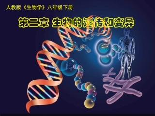 722基因在亲子间的传递