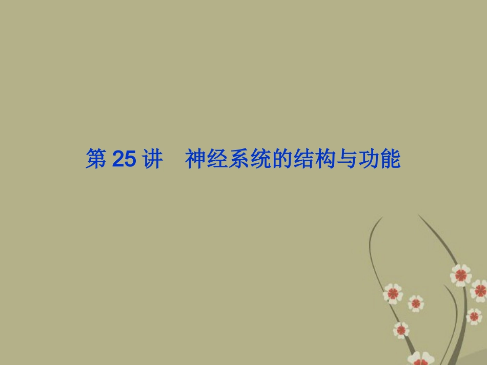 2013届高考生物一轮复习-第25讲-神经系统的结构与功能课件-浙科版_第1页