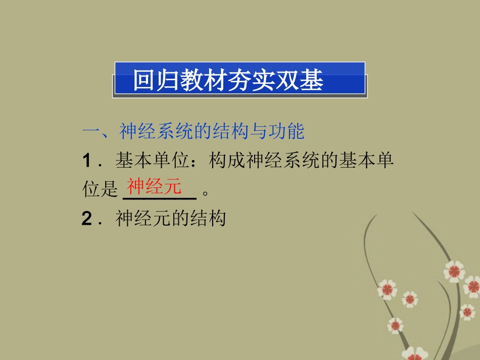 2013届高考生物一轮复习-第25讲-神经系统的结构与功能课件-浙科版_第2页