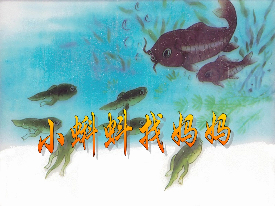 《小蝌蚪找妈妈》课件3_第1页