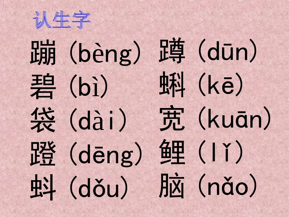 《小蝌蚪找妈妈》课件3_第3页