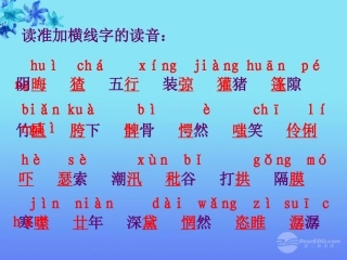 广东省珠海市九年级语文《故乡》课件