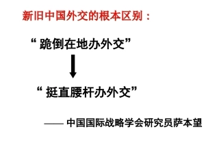 三新时期的外交政策与成就-(3)