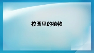6.校园里的植物