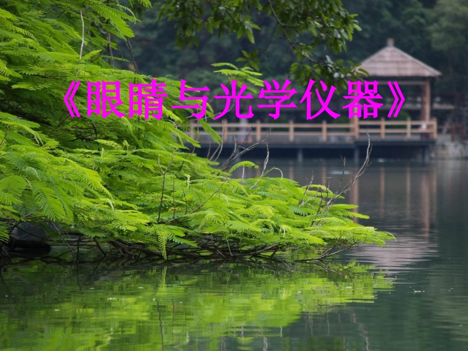 7.眼睛与光学仪器_第1页