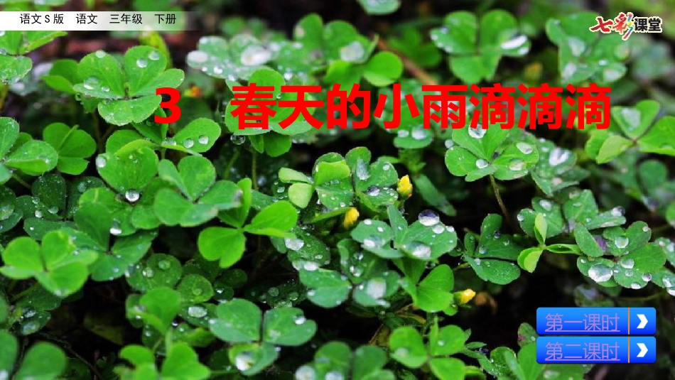 3春天的小雨滴滴滴_第3页