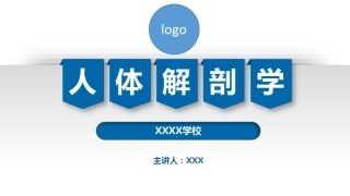 骨骼肌-人体解剖学-运动系统