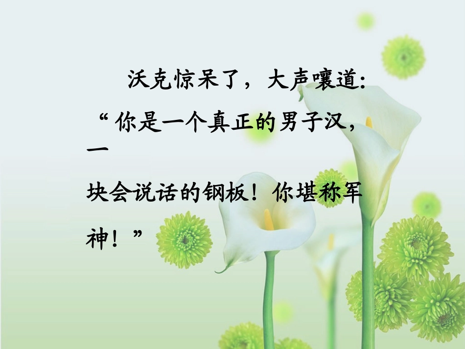 《军神》课件2_第3页