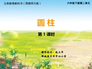 圆柱的侧面积-(4)