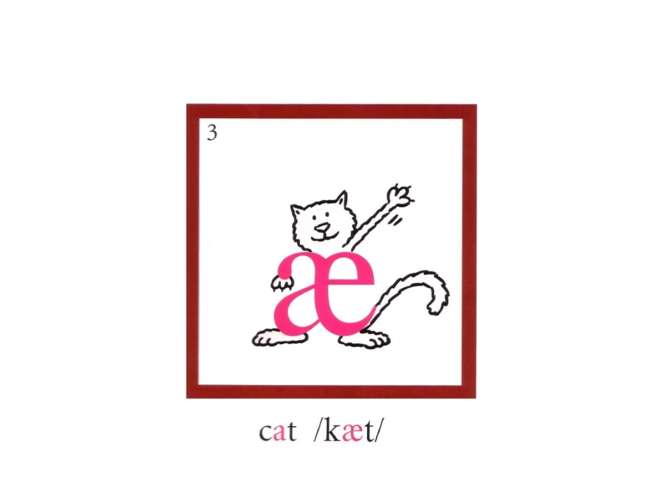 国际音标卡片(打印版)_第3页