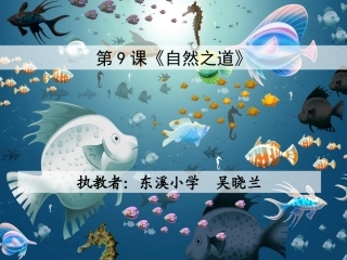 9《自然之道》PPT课件