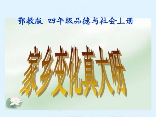 家乡变化真大四年级品德与社会上册PPT课件