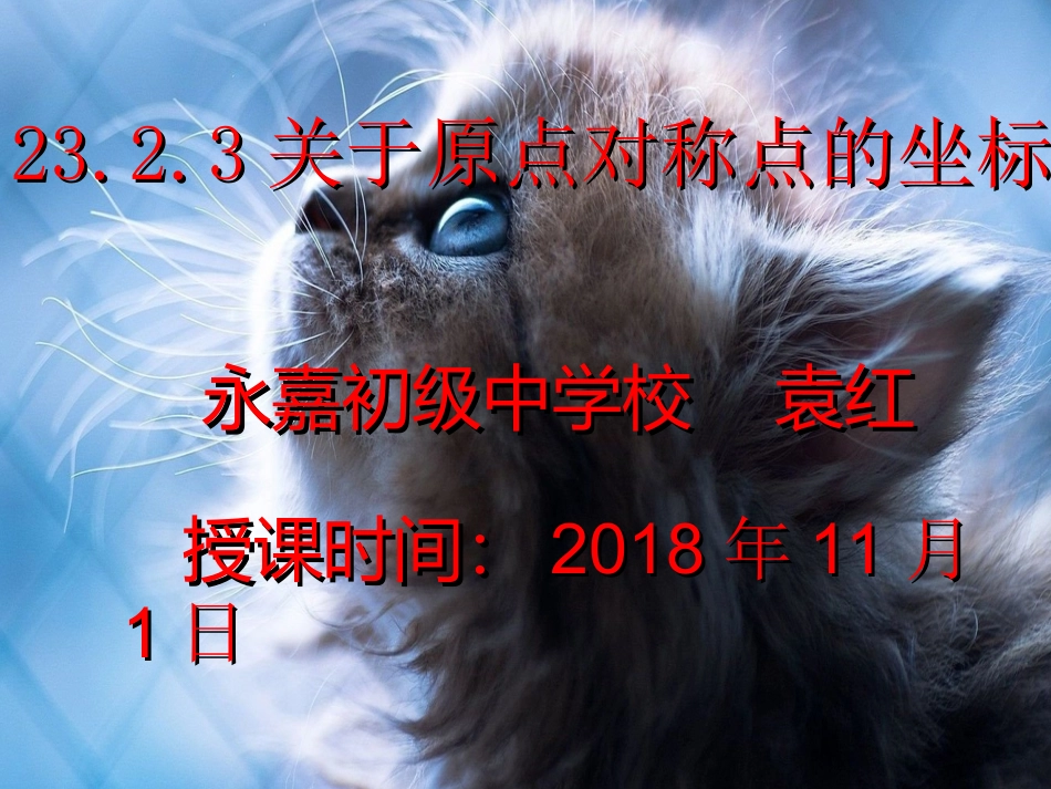图形的变换与坐标-(2)_第1页