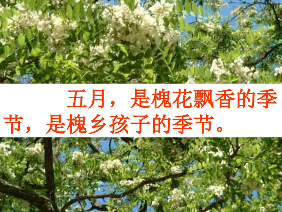 槐乡五月第二课时_第2页