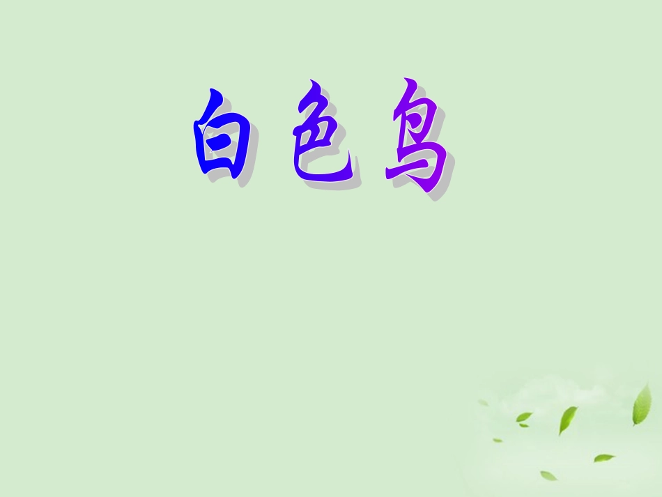 2012学年八年级语文下册-白色鸟课件-鲁教版_第1页