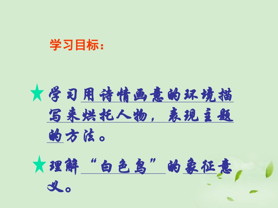 2012学年八年级语文下册-白色鸟课件-鲁教版_第2页