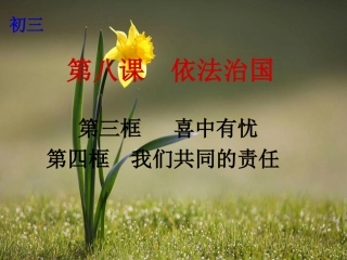 第八课依法治国