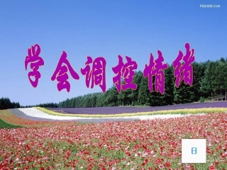 6.2学会调控情绪调控