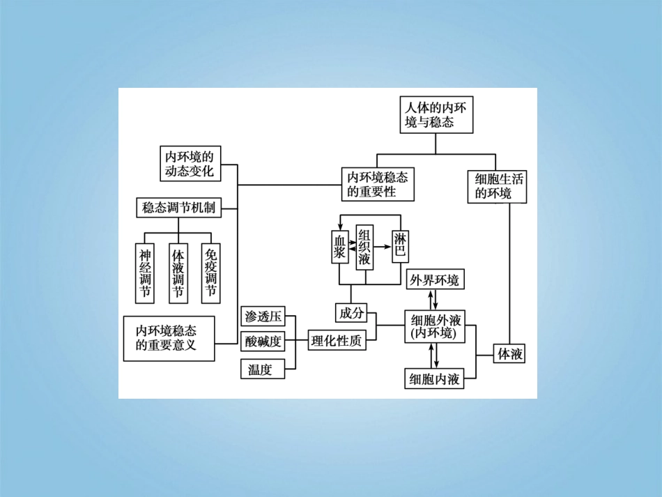 【立体设计】2012高考生物-第1讲-细胞生活的环境知识研习课件-新人教版必修3_第2页