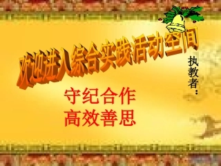 综合实践活动课《网络的利与弊》ppt课件