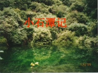 26.小石潭记
