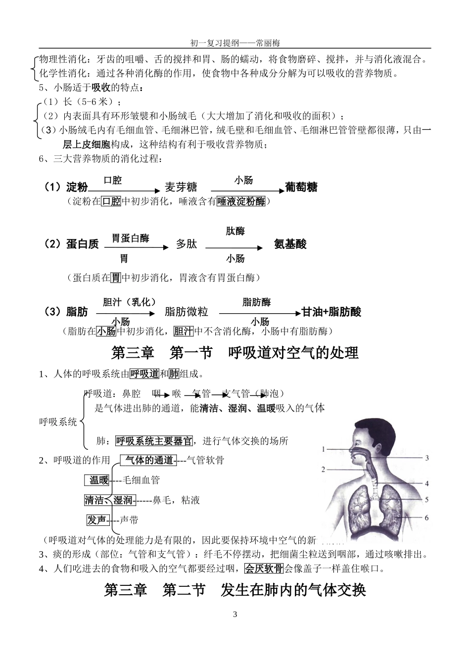 七年级下册复习提纲_第3页