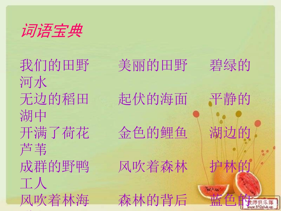 (演唱)我们的田野_第3页