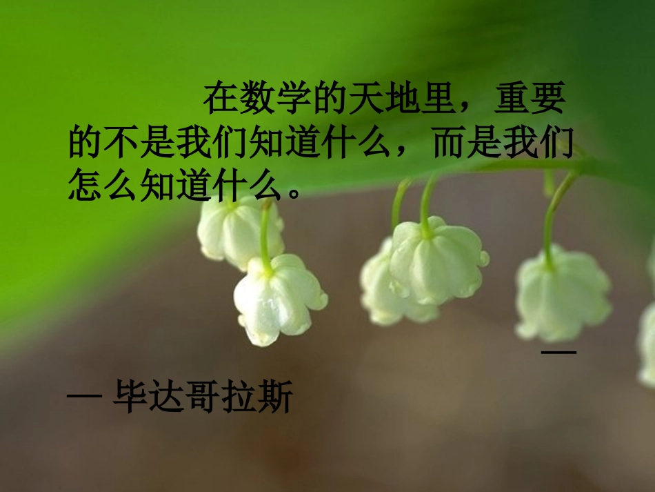 1.1正数和负数_第2页