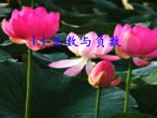1.1正数和负数