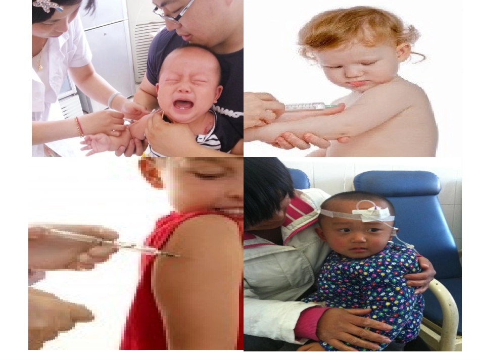 第三节物质运输的途径_第1页