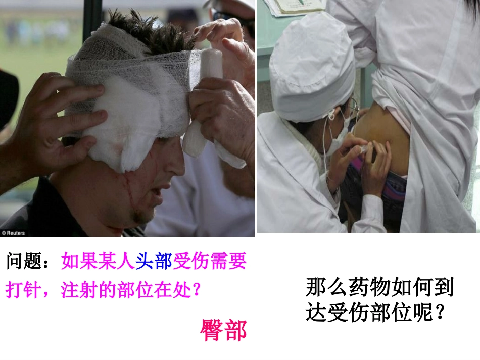 第三节物质运输的途径_第2页