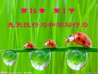 第1节先天性行为和后天学习行为-(3)