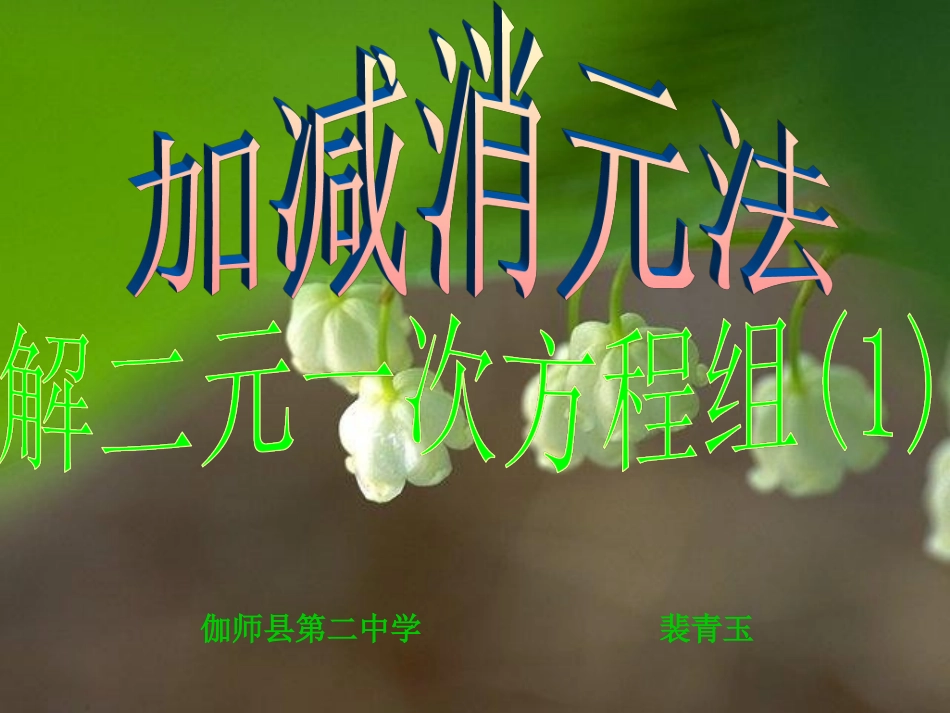 加减法解二元一次方程组-(4)_第2页