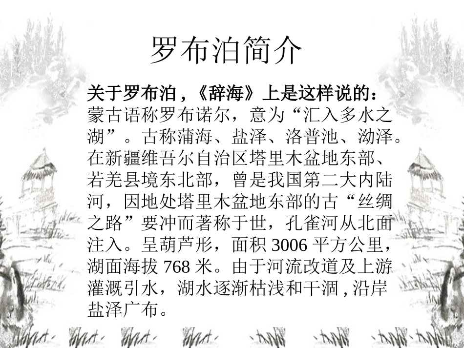 罗布泊-消逝的仙湖王景贤_第3页
