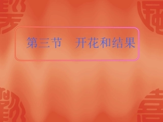 第三节-开花和结果