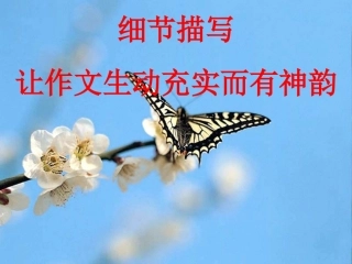 写作--让人物活起来