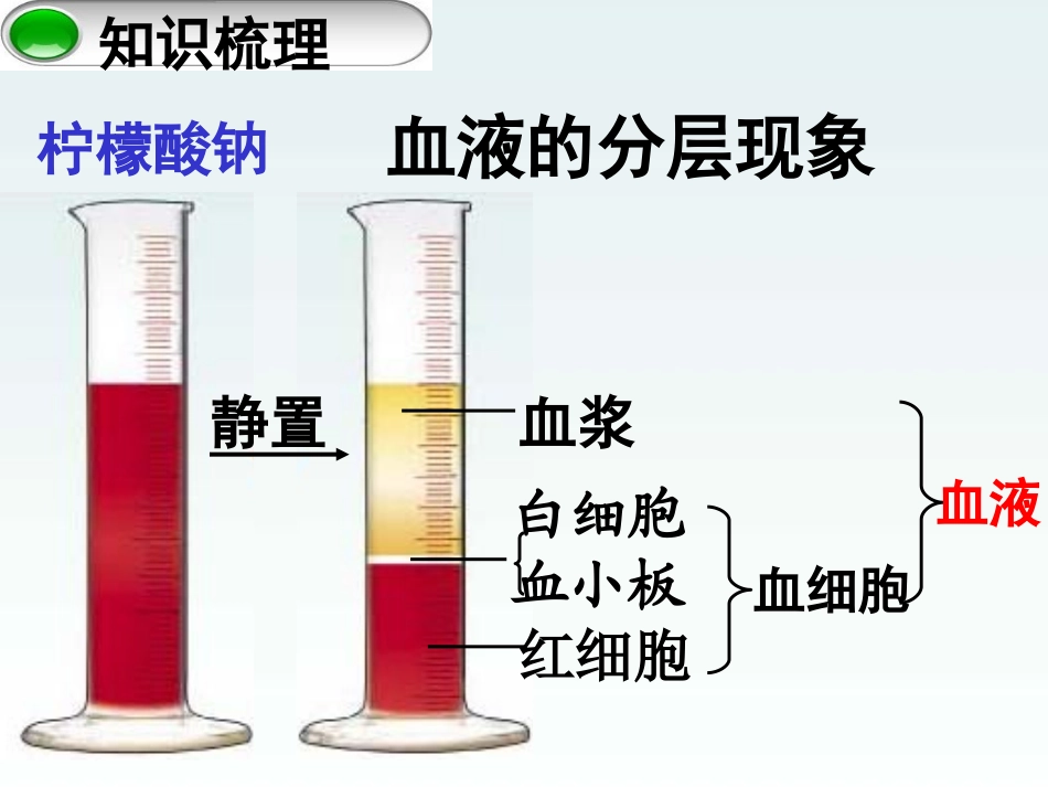 第三章-人体内的物质运输(通用)_第3页