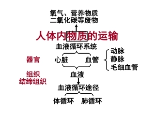 第三章-人体内的物质运输(通用)