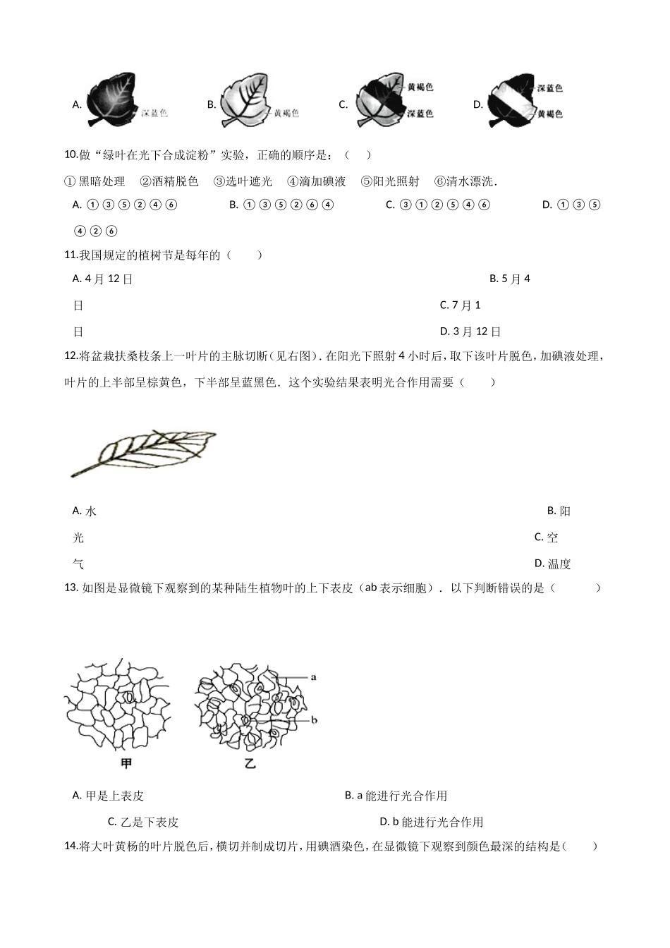 第1节植物的光合作用_第3页