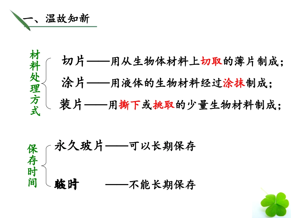 第三节-观察动物细胞_第3页