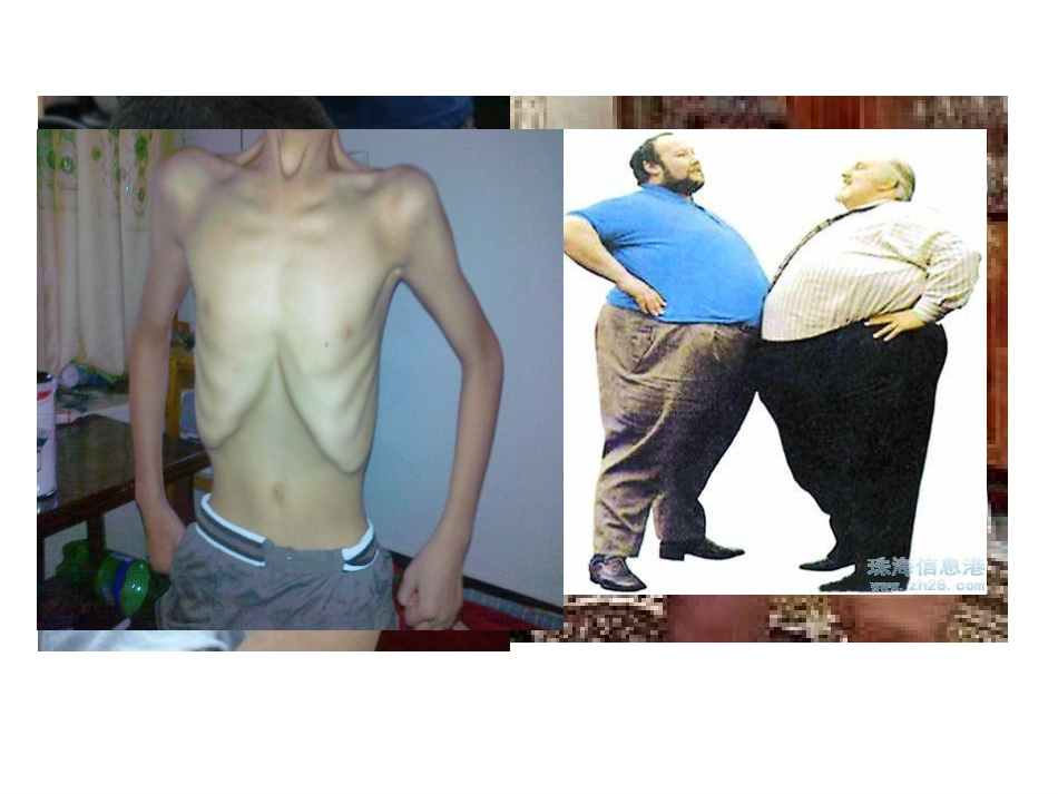 第三节关注合理营养与食品安全-(3)_第2页