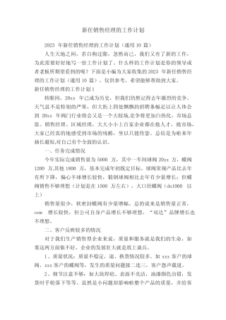 2023年新任销售经理的工作计划(真题10篇) 