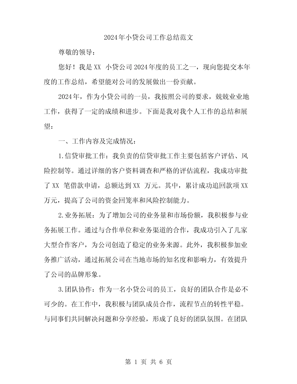 2024年小贷公司工作总结范文(二篇) _第1页
