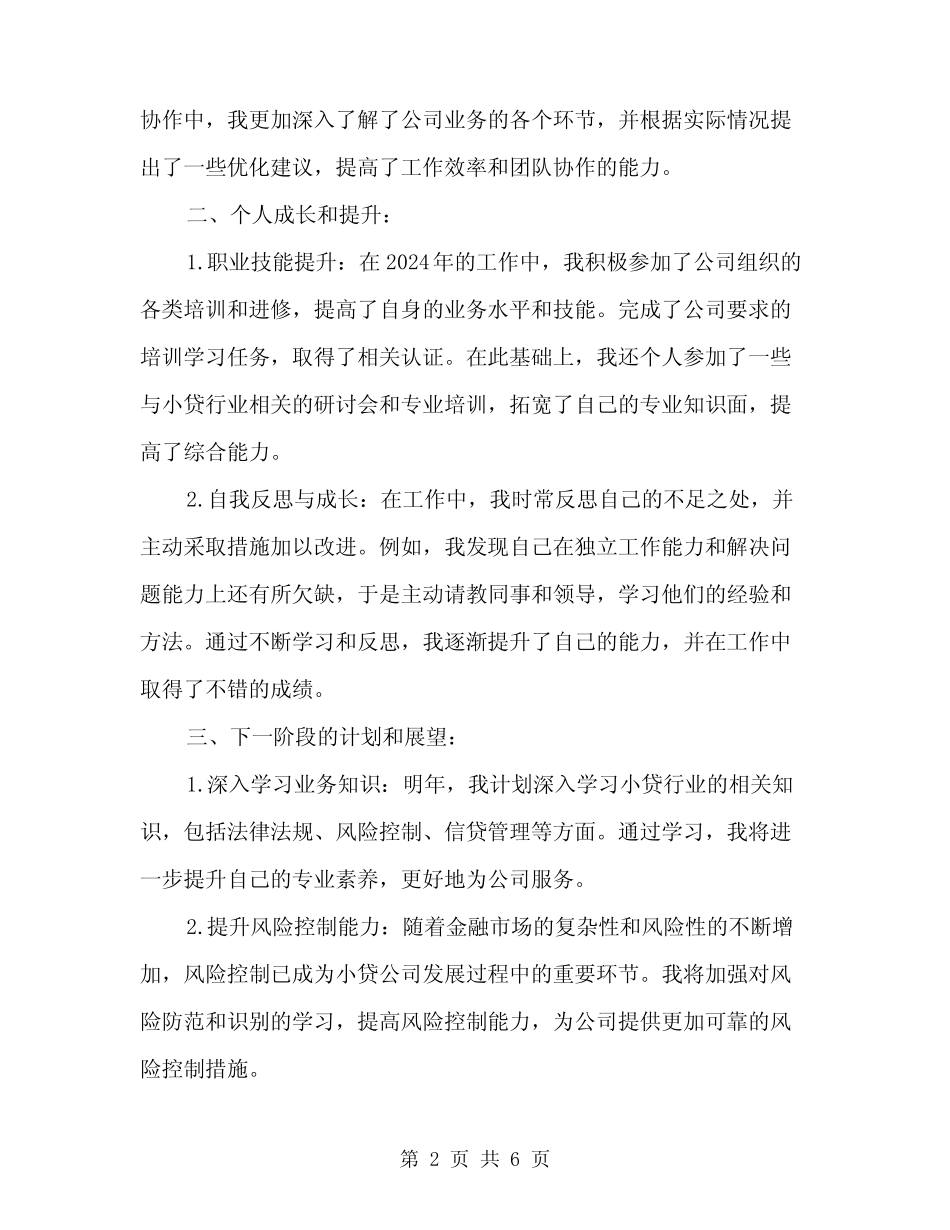 2024年小贷公司工作总结范文(二篇) _第2页