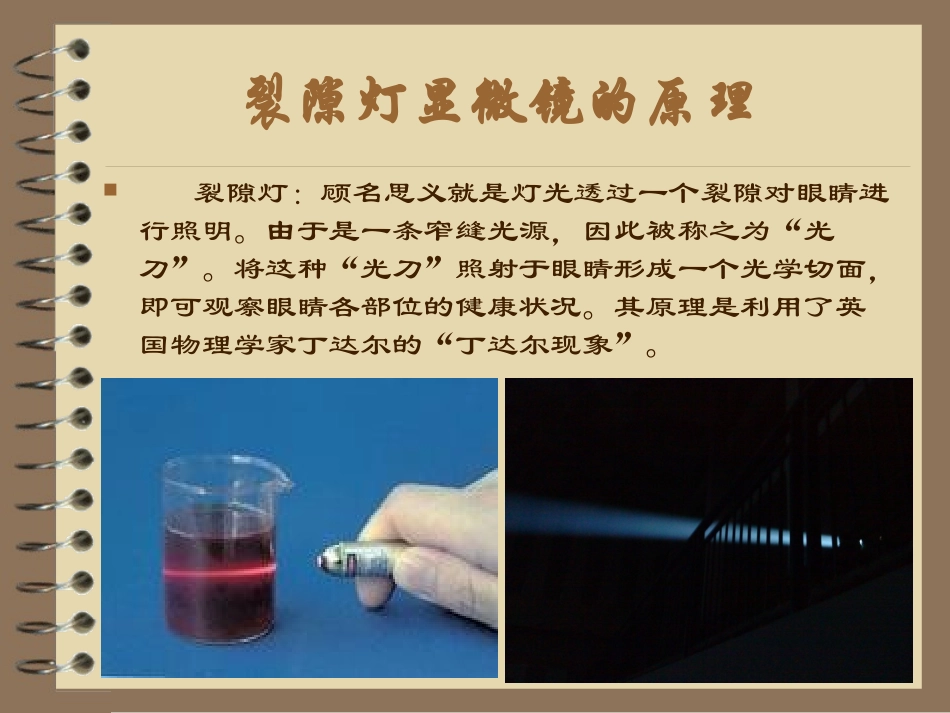 裂隙灯使用操作_第3页