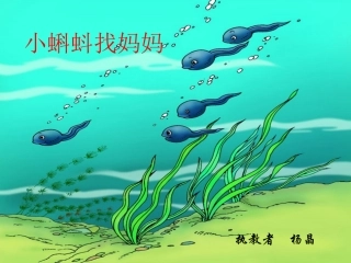 小蝌蚪找妈妈 (4)