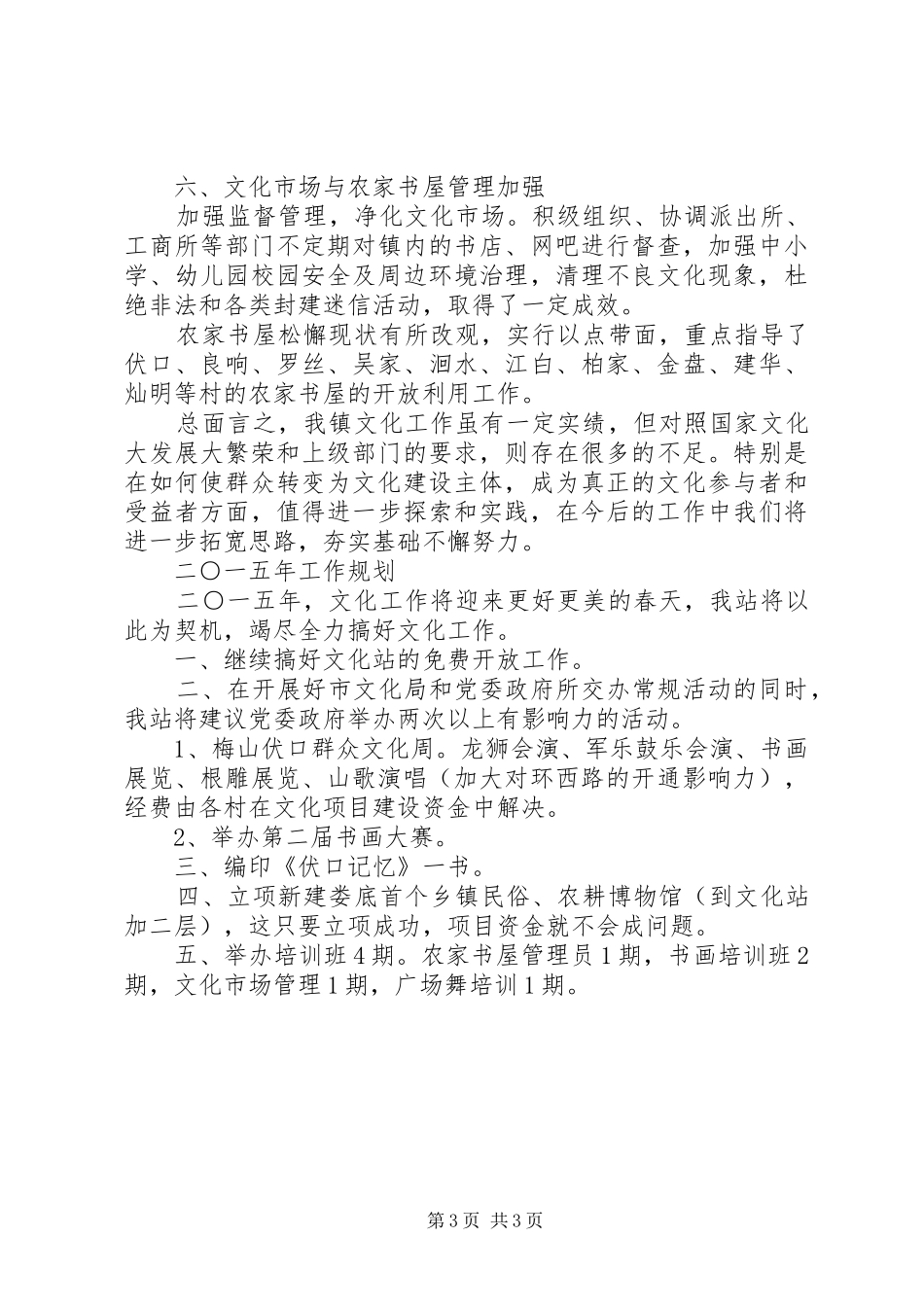 乡镇文化站XX年度工作总结 _第3页